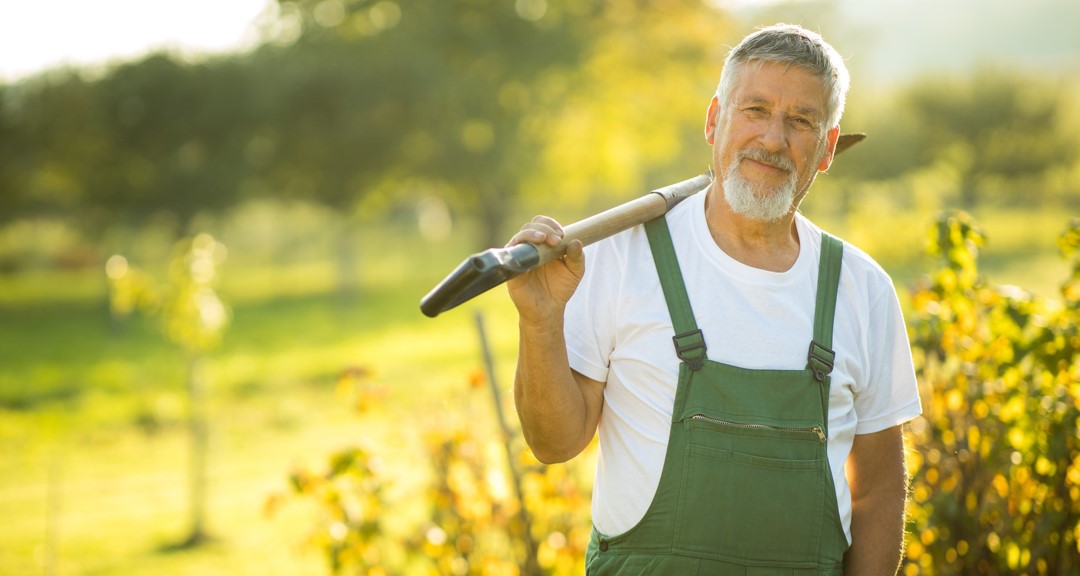 Günstiger Gärtner Wien