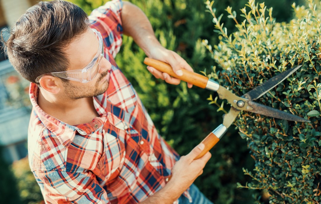 Kleine Gartenarbeiten