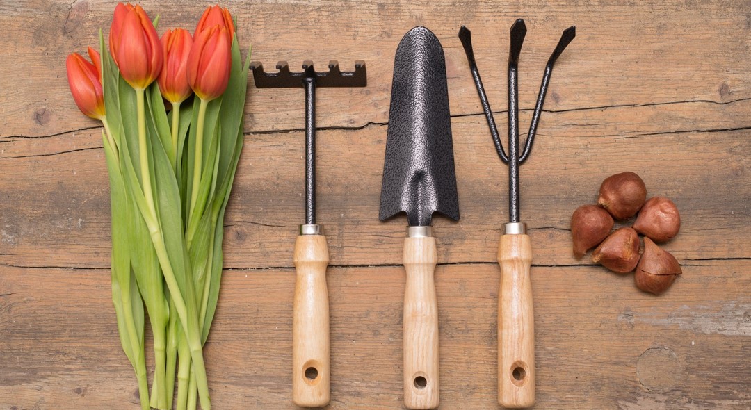 Einmalige Gartenarbeiten